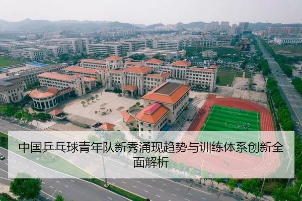 中国乒乓球青年队新秀涌现趋势与训练体系创新全面解析